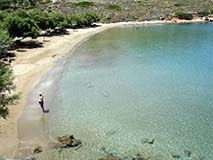 Syros Lotos 3